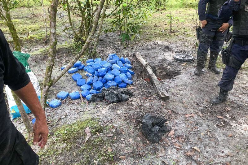 A Polícia Civil deu seguimento, nesta quarta-feira (19), à operação "Narcos II", que contou com apoio da Guarda Municipal de Belém e Marinha do Brasil, por meio do Batalhão de Operações Ribeirinhas. <div class='credito_fotos'>Foto: Ascom / Polícia Civil   |   <a href='/midias/2020/originais/6008_12107a93-e95d-159b-601b-5f8932803dbd.jpg' download><i class='fa-solid fa-download'></i> Download</a></div>