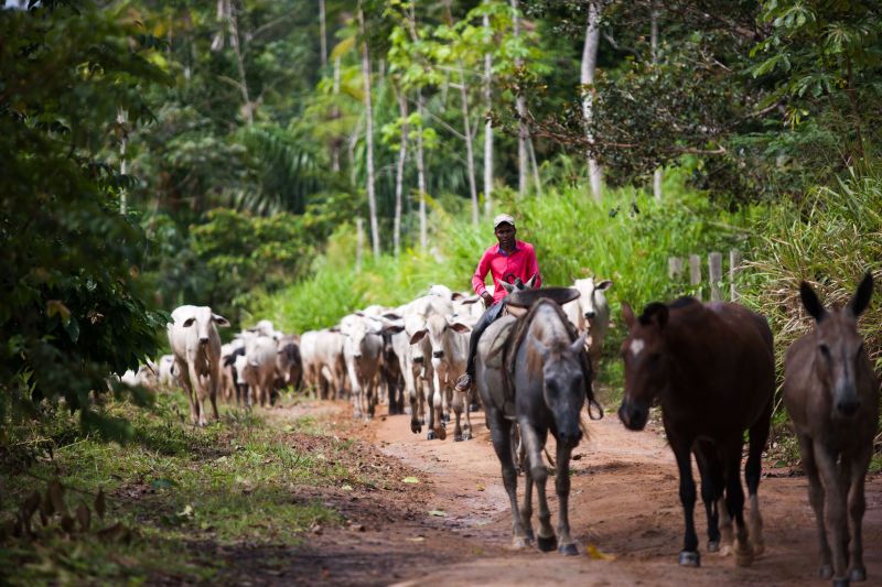 <div class='credito_fotos'>Foto: Pedro Guerreiro / Ag. Pará | <a href='/midias/2020/originais/6026_614ba1b8-a66b-5c98-601a-1b5818506921.jpg' download><i class='fa-solid fa-download'></i> Download</a></div>