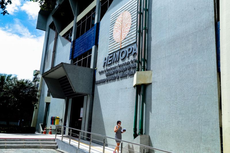 <div class='credito_fotos'>Foto: Alex Ribeiro / Ag. Pará | <a href='/midias/2020/originais/6037_e7ac4be8-efc5-d48a-c9f8-beba9e7a4fd9.jpg' download><i class='fa-solid fa-download'></i> Download</a></div>