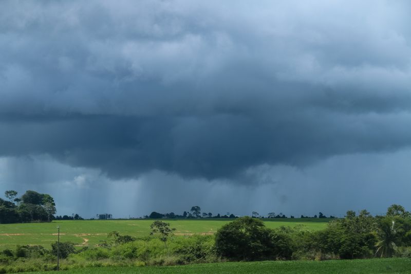 <div class='credito_fotos'>Foto: Bruno Cecim / Ag.Pará | <a href='/midias/2020/originais/6077_c0adec3b-481e-df9d-a4fc-71e258febbc8.jpg' download><i class='fa-solid fa-download'></i> Download</a></div>