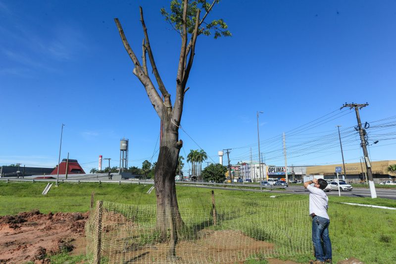 <div class='credito_fotos'>Foto: Alex Ribeiro / Ag. Pará | <a href='/midias/2020/originais/6084_2369ac3b-4a07-6083-6136-d5bdc9e78f8f.jpg' download><i class='fa-solid fa-download'></i> Download</a></div>