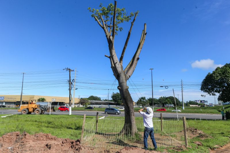 <div class='credito_fotos'>Foto: Alex Ribeiro / Ag. Pará | <a href='/midias/2020/originais/6084_42bf3d3c-a176-ae41-54df-793d57e32d5b.jpg' download><i class='fa-solid fa-download'></i> Download</a></div>