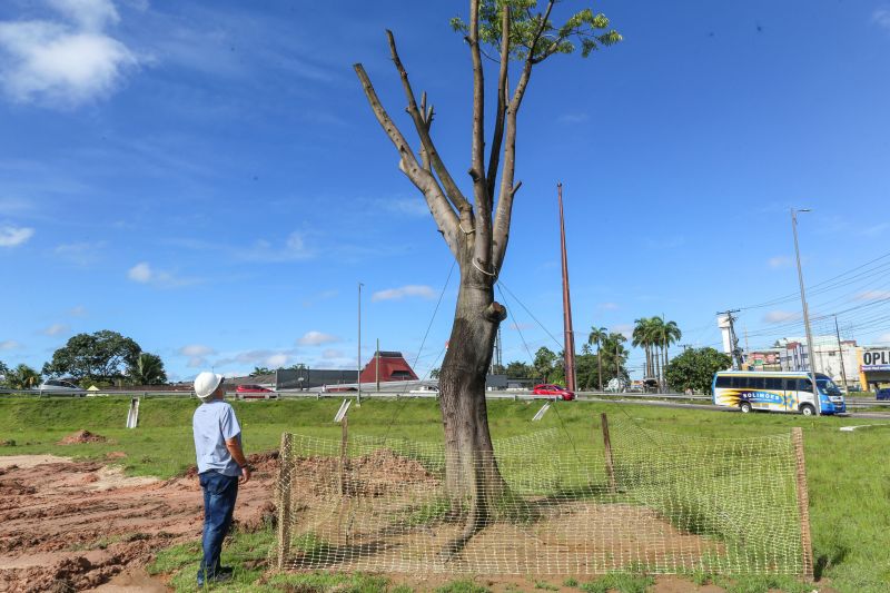 <div class='credito_fotos'>Foto: Alex Ribeiro / Ag. Pará | <a href='/midias/2020/originais/6084_5f4e84e3-fe38-0f28-cfbb-e85b18320fdb.jpg' download><i class='fa-solid fa-download'></i> Download</a></div>