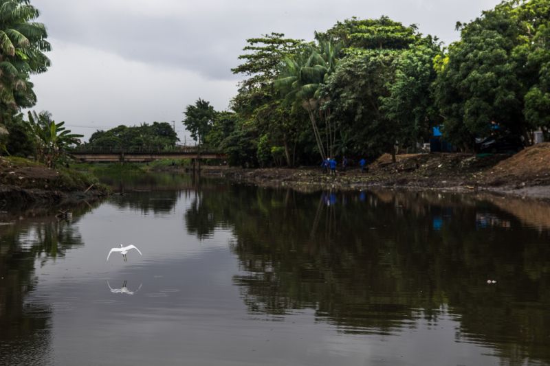 Canal da São Joaquim