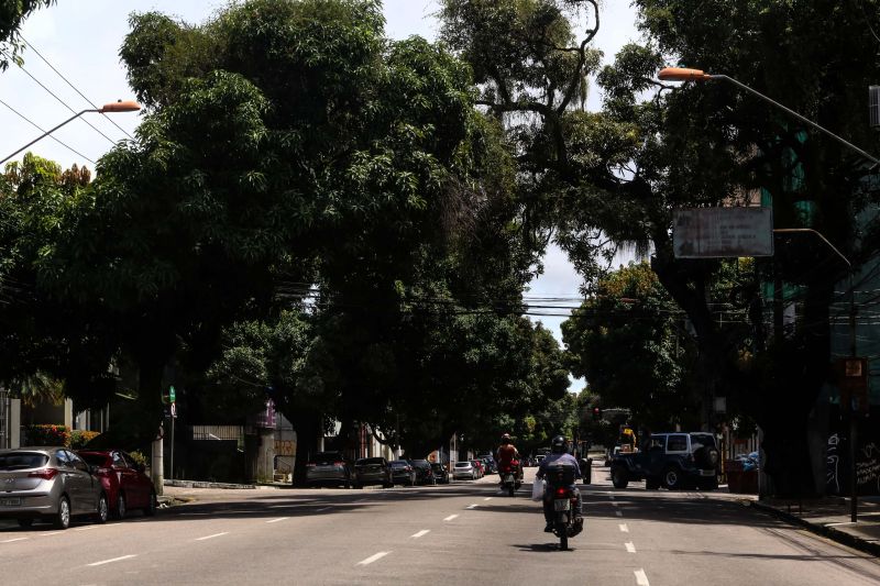 <div class='credito_fotos'>Foto: Alex Ribeiro / Ag. Pará | <a href='/midias/2020/originais/6248_904c7171-01ab-6b71-3d1a-873b402ffad3.jpg' download><i class='fa-solid fa-download'></i> Download</a></div>