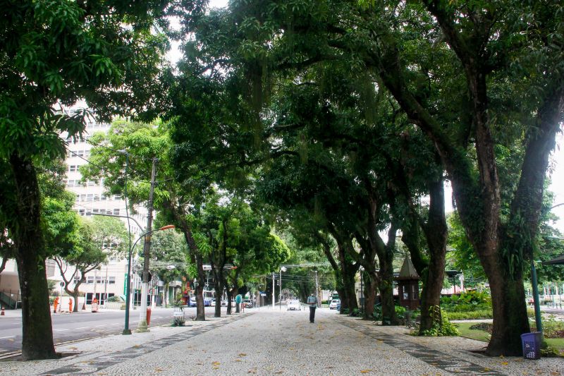 <div class='credito_fotos'>Foto: Marcelo Seabra / Ag. Pará | <a href='/midias/2020/originais/6340_84cd3c35-51b2-05db-3379-b2b1d8e9dd25.jpg' download><i class='fa-solid fa-download'></i> Download</a></div>