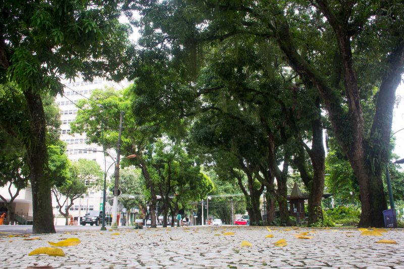<div class='credito_fotos'>Foto: Marcelo Seabra / Ag. Pará | <a href='/midias/2020/originais/6340_e30f6654-6d3e-7a73-cfd7-42e4fb7053f1.jpg' download><i class='fa-solid fa-download'></i> Download</a></div>
