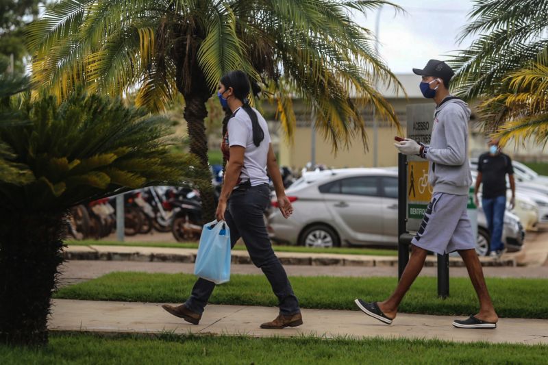  <div class='credito_fotos'>Foto: Bruno Cecim / Ag.Pará   |   <a href='/midias/2020/originais/6353_02e46017-de16-8a1b-74e5-a7150db3052f.jpg' download><i class='fa-solid fa-download'></i> Download</a></div>