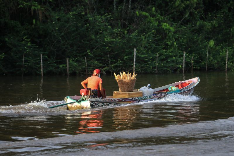  <div class='credito_fotos'>Foto: Jader Paes / Agência Pará   |   <a href='/midias/2020/originais/6433_d3bc3b27-b70b-3e13-e3ea-15aa8d6c05c2.jpg' download><i class='fa-solid fa-download'></i> Download</a></div>