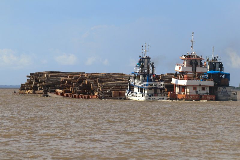 Cerca de mil toras de madeira sem comprovação de origem foram entregues pela Marinha do Brasil à Secretaria de Estado de Meio Ambiente e Sustentabilidade (Semas), na ilha de Outeiro, neste sábado (27). <div class='credito_fotos'>Foto: Jader Paes / Agência Pará   |   <a href='/midias/2020/originais/6501_0957e8c2-cc13-346e-b6d3-1631867d33d6.jpg' download><i class='fa-solid fa-download'></i> Download</a></div>