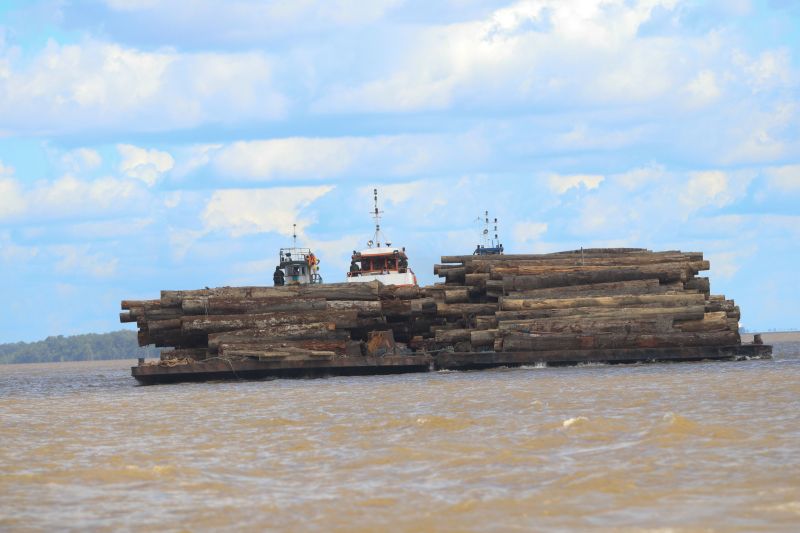 Cerca de mil toras de madeira sem comprovação de origem foram entregues pela Marinha do Brasil à Secretaria de Estado de Meio Ambiente e Sustentabilidade (Semas), na ilha de Outeiro, neste sábado (27). <div class='credito_fotos'>Foto: Jader Paes / Agência Pará   |   <a href='/midias/2020/originais/6501_3d1e5436-57f0-f324-ad99-12becc28e6a5.jpg' download><i class='fa-solid fa-download'></i> Download</a></div>