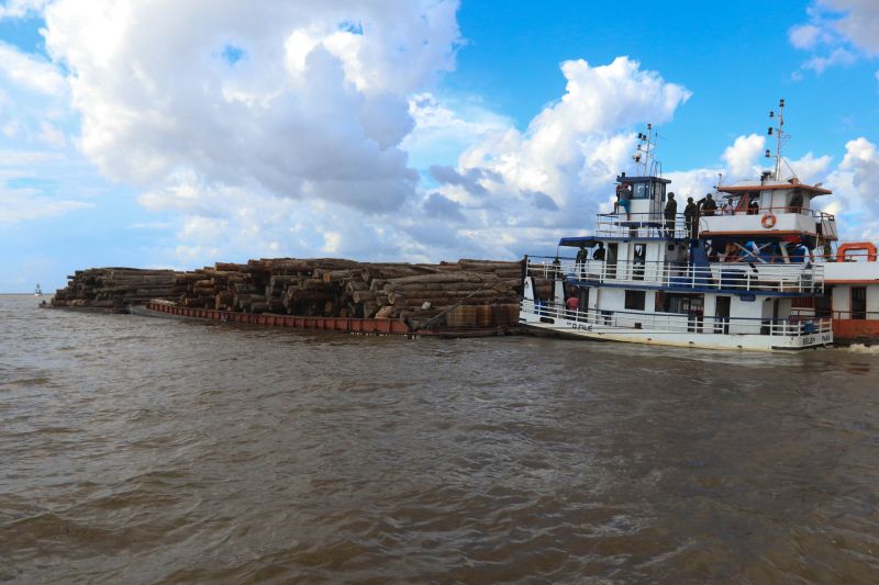 Cerca de mil toras de madeira sem comprovação de origem foram entregues pela Marinha do Brasil à Secretaria de Estado de Meio Ambiente e Sustentabilidade (Semas), na ilha de Outeiro, neste sábado (27). <div class='credito_fotos'>Foto: Jader Paes / Agência Pará   |   <a href='/midias/2020/originais/6501_3d20eafb-3b7e-0f0c-76ea-b98d8b0fe21f.jpg' download><i class='fa-solid fa-download'></i> Download</a></div>