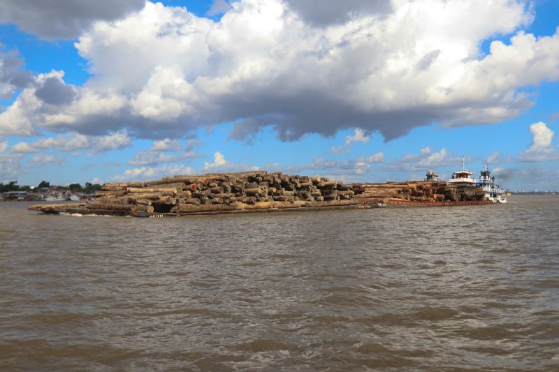Cerca de mil toras de madeira sem comprovação de origem foram entregues pela Marinha do Brasil à Secretaria de Estado de Meio Ambiente e Sustentabilidade (Semas), na ilha de Outeiro, neste sábado (27). <div class='credito_fotos'>Foto: Jader Paes / Agência Pará   |   <a href='/midias/2020/originais/6501_56e6417b-6b71-edc9-01bf-883aa904031c.jpg' download><i class='fa-solid fa-download'></i> Download</a></div>