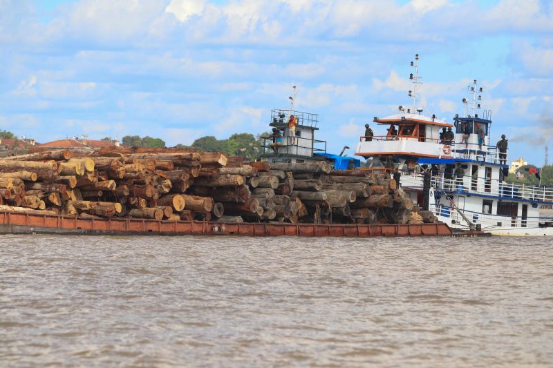 Cerca de mil toras de madeira sem comprovação de origem foram entregues pela Marinha do Brasil à Secretaria de Estado de Meio Ambiente e Sustentabilidade (Semas), na ilha de Outeiro, neste sábado (27). <div class='credito_fotos'>Foto: Jader Paes / Agência Pará   |   <a href='/midias/2020/originais/6501_5df4402c-db28-5b70-8100-85f5f336b67b.jpg' download><i class='fa-solid fa-download'></i> Download</a></div>