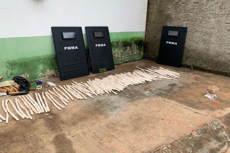 Belém, Pará, Brasil. DIMINUI ROUBO BANCOS - 01/07/2020 - Foto: POLICIA CIVIL <div class='credito_fotos'>Foto: Ascom / Policia Civil | <a href='/midias/2020/originais/6519_2b933d0d-fda0-150e-72e8-551377978194.jpg' download><i class='fa-solid fa-download'></i> Download</a></div>