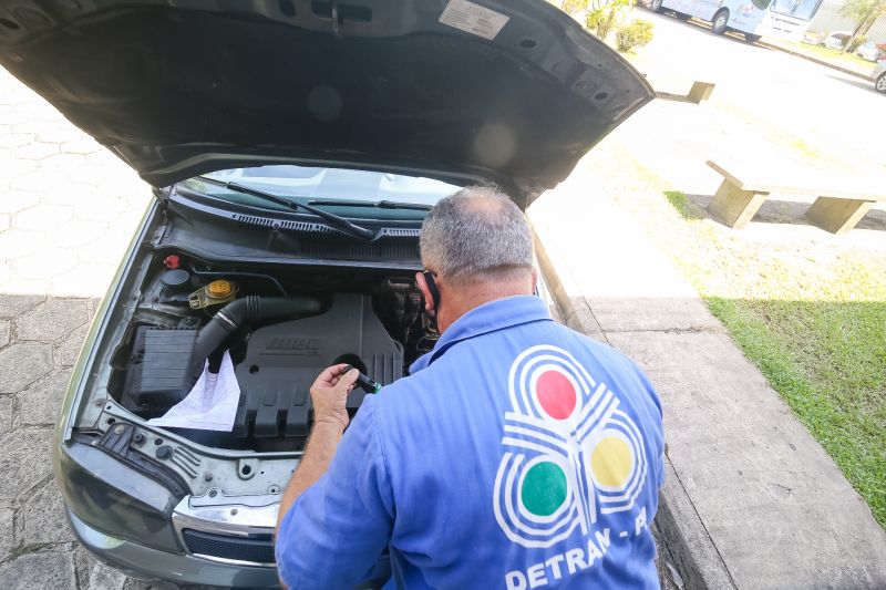 <div class='credito_fotos'>Foto: Alex Ribeiro / Ag. Pará | <a href='/midias/2020/originais/6526_bfffbdef-f8f5-b11d-3a3e-71751f46948b.jpg' download><i class='fa-solid fa-download'></i> Download</a></div>