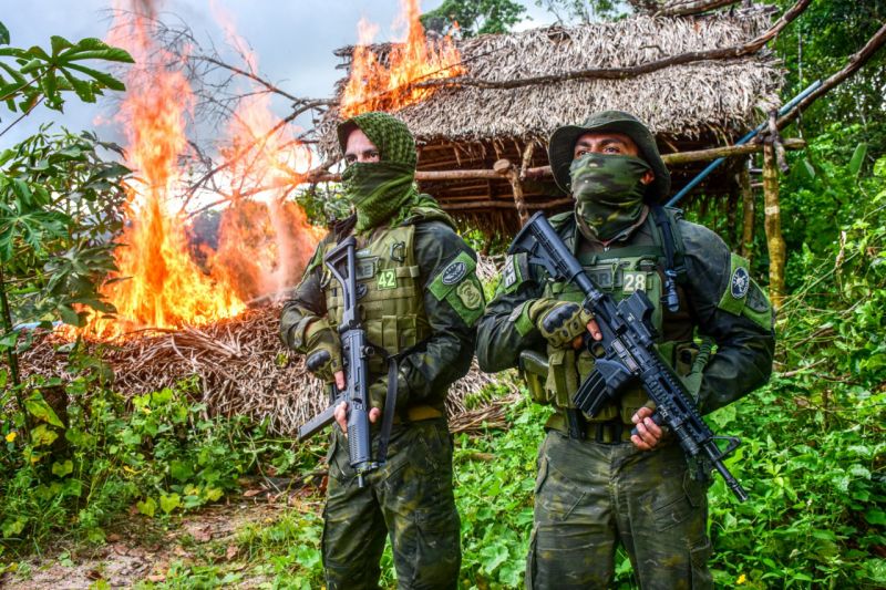 Polícia Civil destrói mais de 60 mil pés de maconha em Terra Alta <div class='credito_fotos'>Foto: Leandro Santana / Ascom PCPA   |   <a href='/midias/2020/originais/6548_2a0d3461-4743-d3d8-5afc-1a0b6c09c633.jpg' download><i class='fa-solid fa-download'></i> Download</a></div>