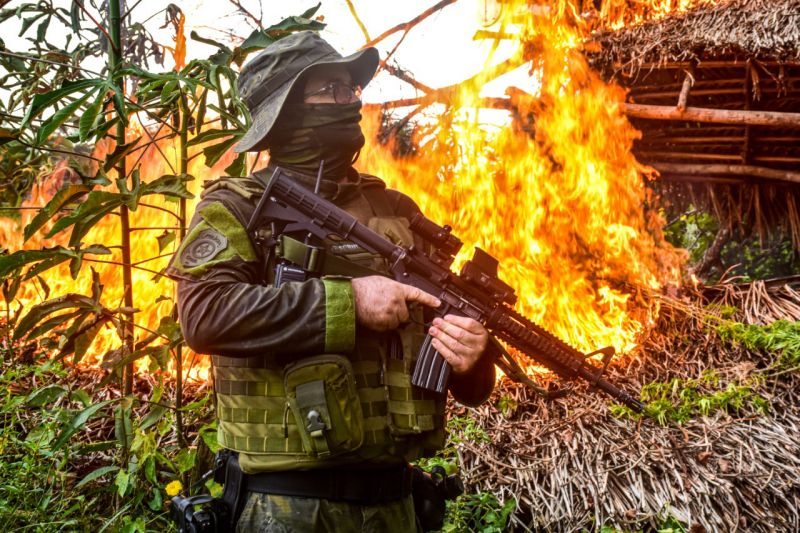 Polícia Civil destrói mais de 60 mil pés de maconha em Terra Alta <div class='credito_fotos'>Foto: Leandro Santana / Ascom PCPA   |   <a href='/midias/2020/originais/6548_a0696496-503d-da92-7cc5-a0277166823c.jpg' download><i class='fa-solid fa-download'></i> Download</a></div>