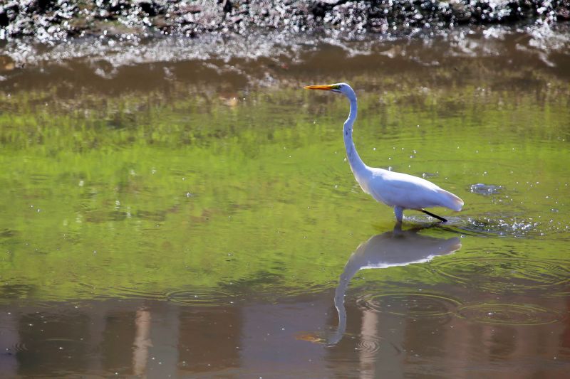 <div class='credito_fotos'>Foto: Bruno Cecim / Ag.Pará | <a href='/midias/2020/originais/6559_f01de34b-aa2e-0a8b-3442-1d193a96d71d.jpg' download><i class='fa-solid fa-download'></i> Download</a></div>