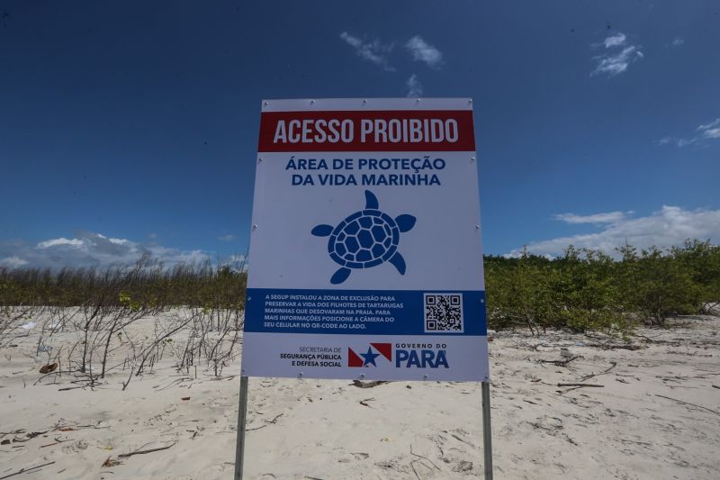<div class='credito_fotos'>Foto: Alex Ribeiro / Ag. Pará | <a href='/midias/2020/originais/6608_0e1380b2-f9bc-28de-74bb-cd30c55e6449.jpg' download><i class='fa-solid fa-download'></i> Download</a></div>