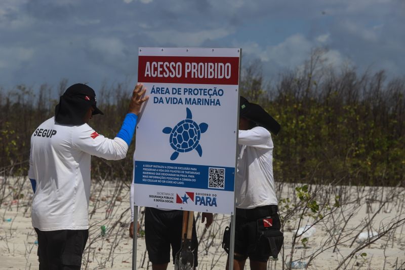 <div class='credito_fotos'>Foto: Alex Ribeiro / Ag. Pará | <a href='/midias/2020/originais/6608_4c95d3f1-6791-c224-a81c-ed5c452f873a.jpg' download><i class='fa-solid fa-download'></i> Download</a></div>