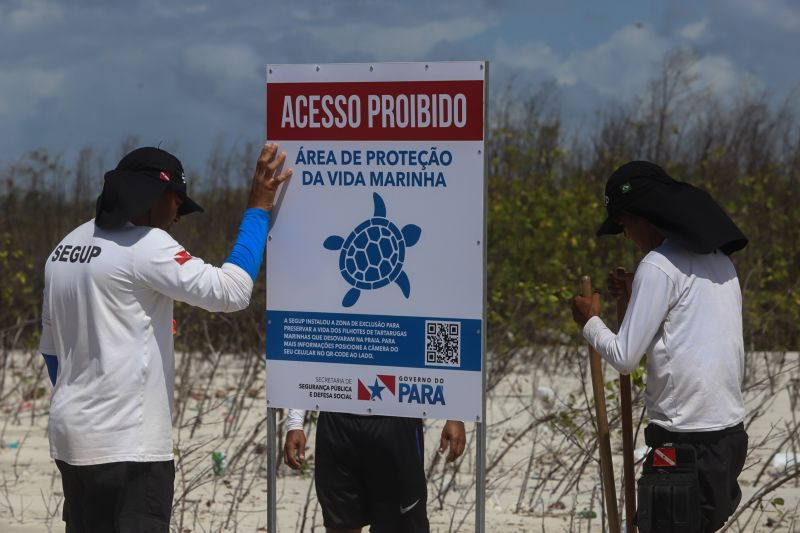 <div class='credito_fotos'>Foto: Alex Ribeiro / Ag. Pará | <a href='/midias/2020/originais/6608_5e2a8a9d-8e93-517f-ccdc-9393c6b7a09b.jpg' download><i class='fa-solid fa-download'></i> Download</a></div>