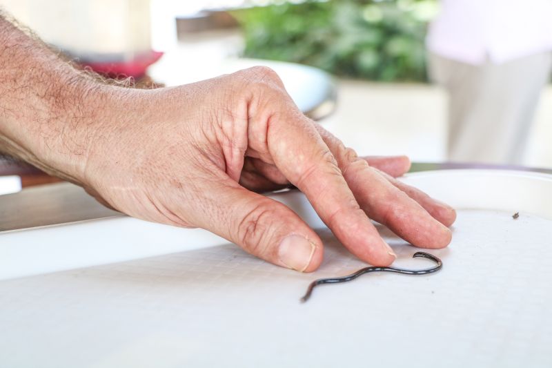 <div class='credito_fotos'>Foto: ASCOM / IDEFLOR-BIO | <a href='/midias/2020/originais/6649_a6129e03-1939-285d-baef-4d419838f15d.jpg' download><i class='fa-solid fa-download'></i> Download</a></div>