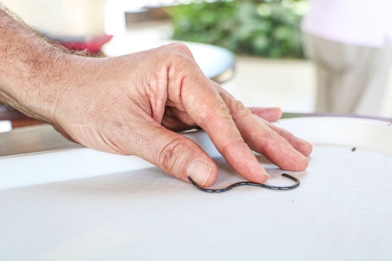 <div class='credito_fotos'>Foto: ASCOM / IDEFLOR-BIO | <a href='/midias/2020/originais/6649_d250a9a5-36f2-8a32-0153-7d7fb65a1833.jpg' download><i class='fa-solid fa-download'></i> Download</a></div>