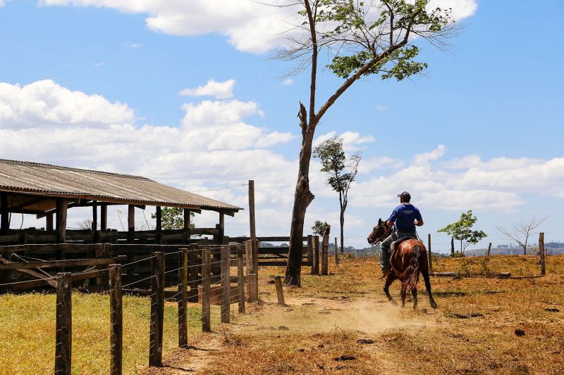 <div class='credito_fotos'>Foto: Bruno Cecim / Ag.Pará | <a href='/midias/2020/originais/6652_a82c764d-698e-e743-5b16-ea218096afc8.jpg' download><i class='fa-solid fa-download'></i> Download</a></div>