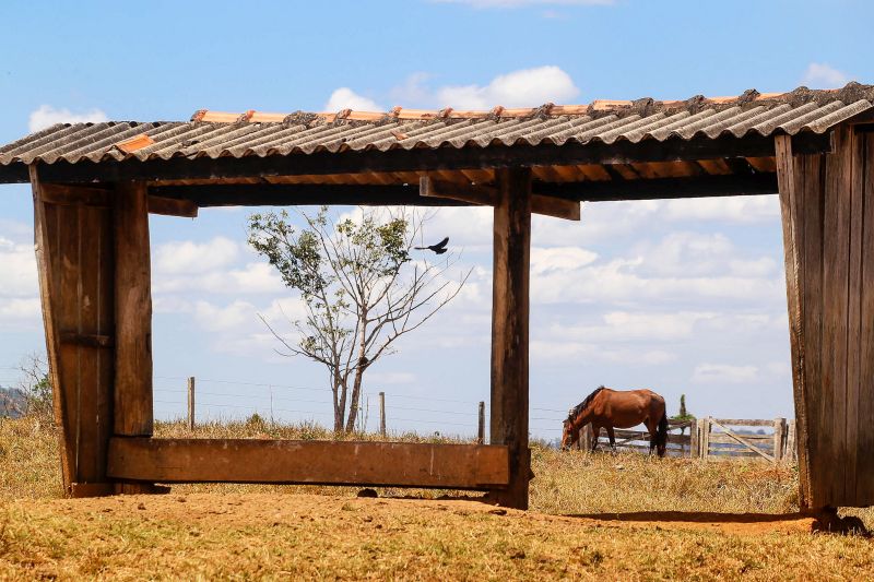 <div class='credito_fotos'>Foto: Bruno Cecim / Ag.Pará | <a href='/midias/2020/originais/6652_e2d60438-52a8-0cfd-726e-8837cbc928ec.jpg' download><i class='fa-solid fa-download'></i> Download</a></div>