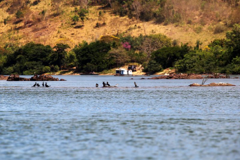 <div class='credito_fotos'>Foto: Bruno Cecim / Ag.Pará | <a href='/midias/2020/originais/6679_2fe8f961-c5c9-ce58-621d-da65473b2d08.jpg' download><i class='fa-solid fa-download'></i> Download</a></div>