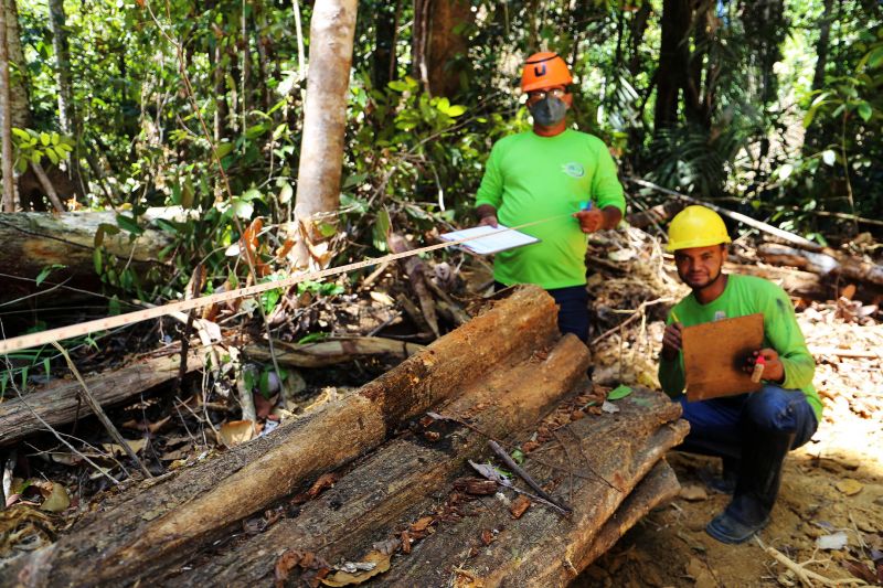 <div class='credito_fotos'>Foto: Bruno Cecim / Ag.Pará | <a href='/midias/2020/originais/6688_231f7907-0fa1-446c-f33b-6f1d65a8af2c.jpg' download><i class='fa-solid fa-download'></i> Download</a></div>