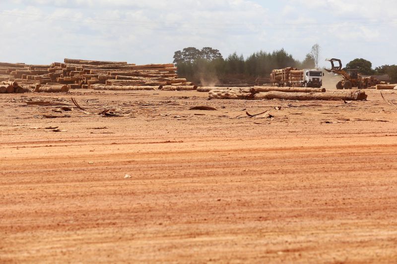 <div class='credito_fotos'>Foto: Bruno Cecim / Ag.Pará | <a href='/midias/2020/originais/6688_333b6b7c-6bc2-72a3-1207-33aea806445d.jpg' download><i class='fa-solid fa-download'></i> Download</a></div>