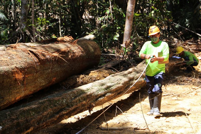 <div class='credito_fotos'>Foto: Bruno Cecim / Ag.Pará | <a href='/midias/2020/originais/6688_85d7645d-64d0-fd8f-ac49-d0a35d468eb0.jpg' download><i class='fa-solid fa-download'></i> Download</a></div>