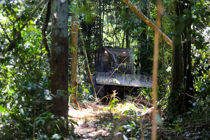 <div class='credito_fotos'>Foto: Bruno Cecim / Ag.Pará | <a href='/midias/2020/originais/6688_8b72a16e-ec71-2d1a-7b58-7b14f40b9584.jpg' download><i class='fa-solid fa-download'></i> Download</a></div>
