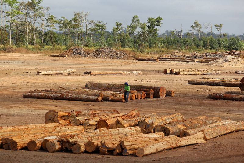 <div class='credito_fotos'>Foto: Bruno Cecim / Ag.Pará | <a href='/midias/2020/originais/6688_b4014213-5ffc-676f-29b2-7324412e61bd.jpg' download><i class='fa-solid fa-download'></i> Download</a></div>