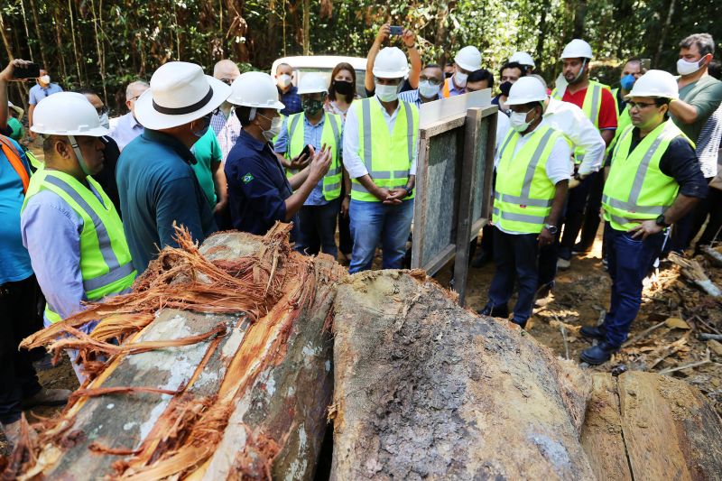 <div class='credito_fotos'>Foto: Bruno Cecim / Ag.Pará | <a href='/midias/2020/originais/6688_b63d36c9-1f61-50cb-1f57-4c94aedcd61b.jpg' download><i class='fa-solid fa-download'></i> Download</a></div>