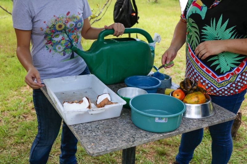 Preparo da alimentação das ararajubas