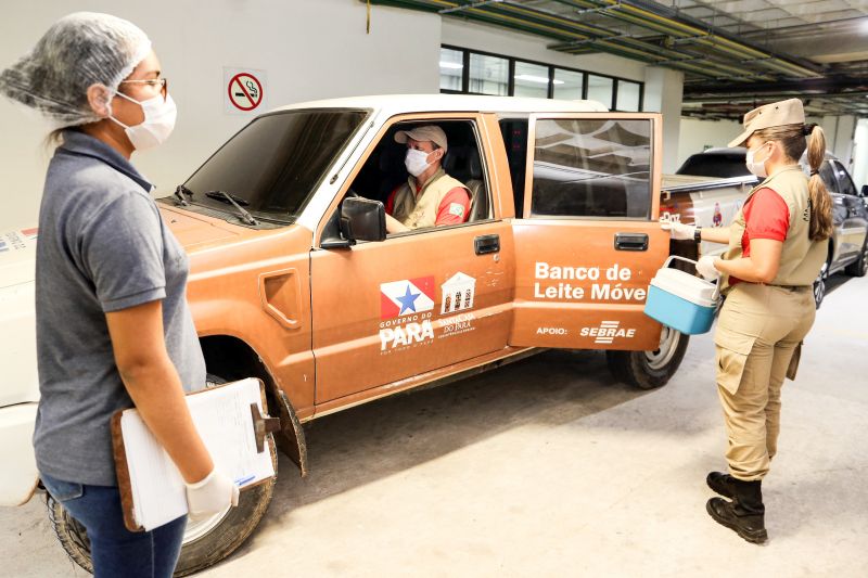 <div class='credito_fotos'>Foto: Bruno Cecim / Ag.Pará | <a href='/midias/2020/originais/6718_e5dfe614-f3dc-e466-4d20-8b5f21e203ad.jpg' download><i class='fa-solid fa-download'></i> Download</a></div>