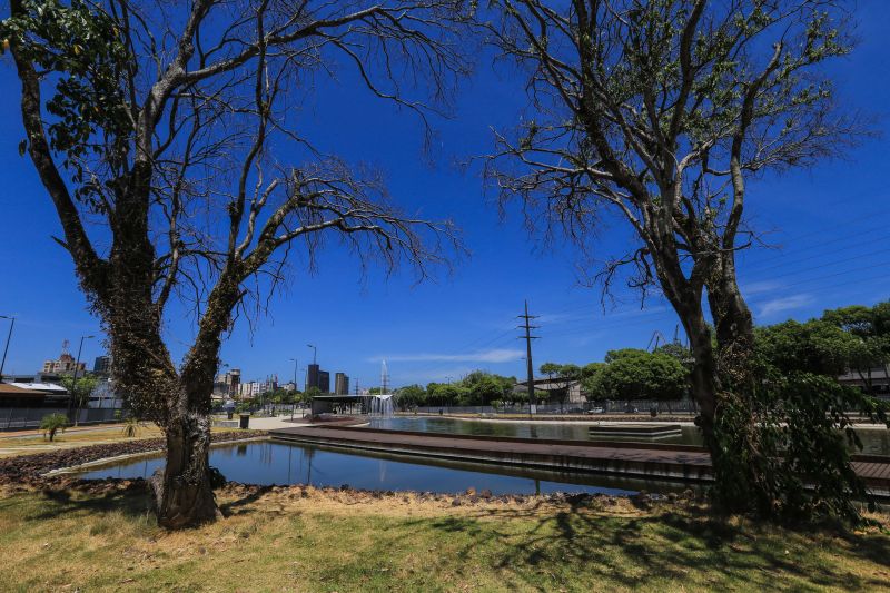 <div class='credito_fotos'>Foto: Jader Paes / Agência Pará | <a href='/midias/2020/originais/6729_434156e3-0d8b-eeaf-36c6-e700d7dc2f6d.jpg' download><i class='fa-solid fa-download'></i> Download</a></div>