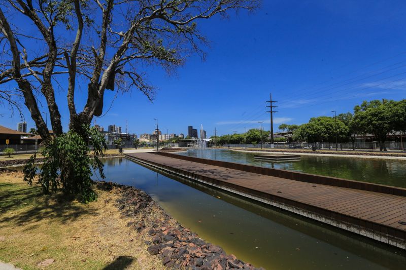 <div class='credito_fotos'>Foto: Jader Paes / Agência Pará | <a href='/midias/2020/originais/6729_4a13988f-6e2e-bb8b-65e4-660298e7e532.jpg' download><i class='fa-solid fa-download'></i> Download</a></div>