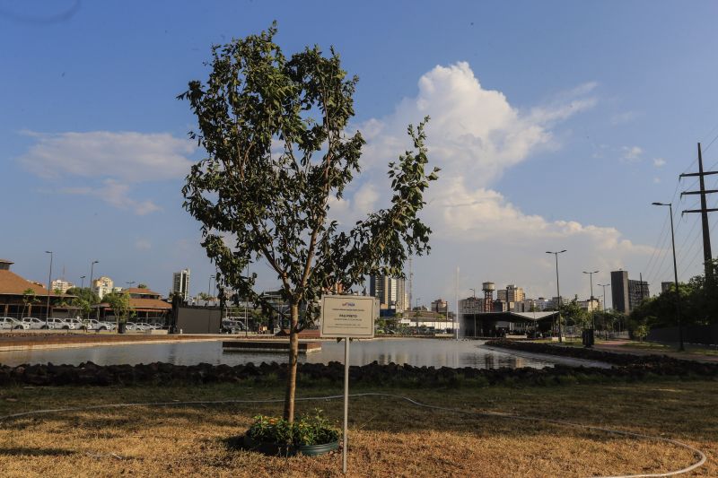 A primeira fase da intervenção paisagística no Parque Urbano Belém Porto Futuro foi iniciada neste sábado (22) com o plantio simbólico de 22 árvores. O ato teve a presença do governador Helder Barbalho; da secretária de Estado de Cultura, Ursula Vidal, e de representantes de entidades empresariais paraenses que contribuem com a arborização do espaço, aberto ao público <div class='credito_fotos'>Foto: Jader Paes / Agência Pará | <a href='/midias/2020/originais/6743_2308cad0-596c-6094-ada1-08583666726a.jpg' download><i class='fa-solid fa-download'></i> Download</a></div>
