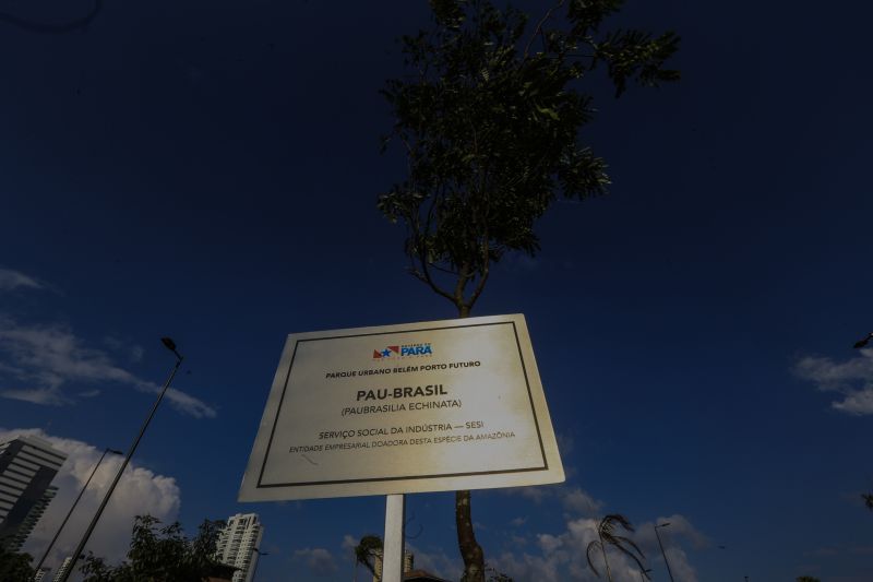 A primeira fase da intervenção paisagística no Parque Urbano Belém Porto Futuro foi iniciada neste sábado (22) com o plantio simbólico de 22 árvores. O ato teve a presença do governador Helder Barbalho; da secretária de Estado de Cultura, Ursula Vidal, e de representantes de entidades empresariais paraenses que contribuem com a arborização do espaço, aberto ao público <div class='credito_fotos'>Foto: Jader Paes / Agência Pará | <a href='/midias/2020/originais/6743_264fa0c4-af52-1d5f-b200-98c63757a2a8.jpg' download><i class='fa-solid fa-download'></i> Download</a></div>