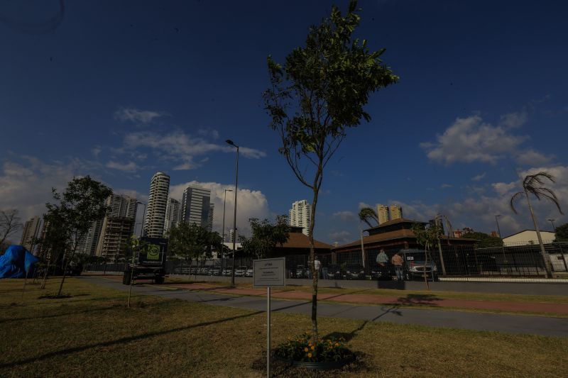 A primeira fase da intervenção paisagística no Parque Urbano Belém Porto Futuro foi iniciada neste sábado (22) com o plantio simbólico de 22 árvores. O ato teve a presença do governador Helder Barbalho; da secretária de Estado de Cultura, Ursula Vidal, e de representantes de entidades empresariais paraenses que contribuem com a arborização do espaço, aberto ao público <div class='credito_fotos'>Foto: Jader Paes / Agência Pará | <a href='/midias/2020/originais/6743_2f9f8627-e585-fd24-2225-460323607ab1.jpg' download><i class='fa-solid fa-download'></i> Download</a></div>
