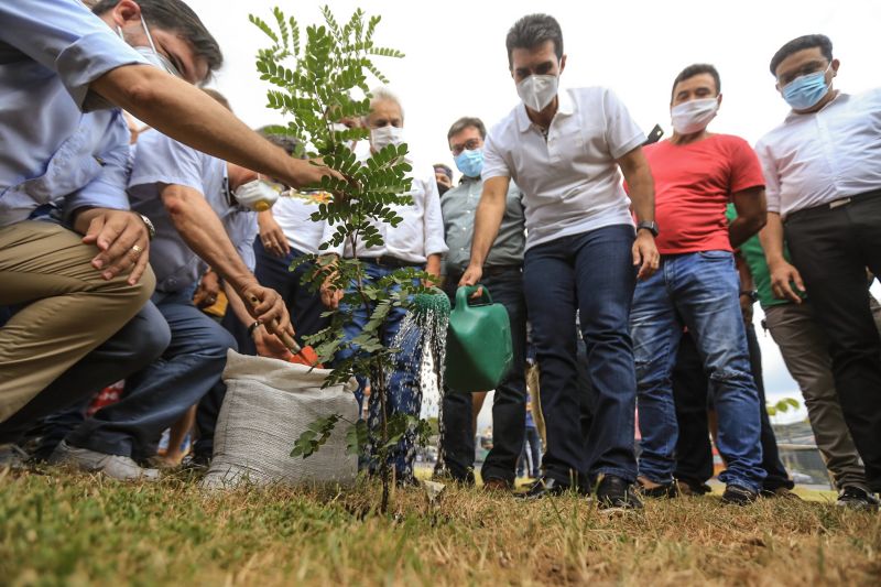 A primeira fase da intervenção paisagística no Parque Urbano Belém Porto Futuro foi iniciada neste sábado (22) com o plantio simbólico de 22 árvores. O ato teve a presença do governador Helder Barbalho; da secretária de Estado de Cultura, Ursula Vidal, e de representantes de entidades empresariais paraenses que contribuem com a arborização do espaço, aberto ao público <div class='credito_fotos'>Foto: Jader Paes / Agência Pará | <a href='/midias/2020/originais/6743_66a91da8-5707-1892-d01a-77c18af04ee6.jpg' download><i class='fa-solid fa-download'></i> Download</a></div>
