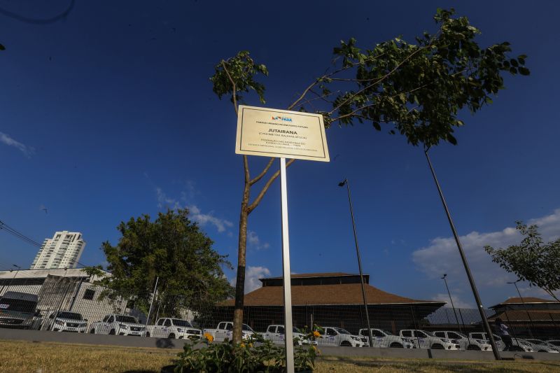 A primeira fase da intervenção paisagística no Parque Urbano Belém Porto Futuro foi iniciada neste sábado (22) com o plantio simbólico de 22 árvores. O ato teve a presença do governador Helder Barbalho; da secretária de Estado de Cultura, Ursula Vidal, e de representantes de entidades empresariais paraenses que contribuem com a arborização do espaço, aberto ao público <div class='credito_fotos'>Foto: Jader Paes / Agência Pará | <a href='/midias/2020/originais/6743_69494f69-fd54-a51e-8431-fa18aba60753.jpg' download><i class='fa-solid fa-download'></i> Download</a></div>