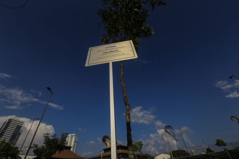 A primeira fase da intervenção paisagística no Parque Urbano Belém Porto Futuro foi iniciada neste sábado (22) com o plantio simbólico de 22 árvores. O ato teve a presença do governador Helder Barbalho; da secretária de Estado de Cultura, Ursula Vidal, e de representantes de entidades empresariais paraenses que contribuem com a arborização do espaço, aberto ao público <div class='credito_fotos'>Foto: Jader Paes / Agência Pará | <a href='/midias/2020/originais/6743_9b2d6413-f3ed-f2ec-783b-e4dec7e11a19.jpg' download><i class='fa-solid fa-download'></i> Download</a></div>