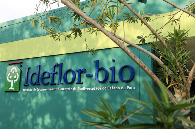 <div class='credito_fotos'>Foto: Bruno Cecim / Ag.Pará | <a href='/midias/2020/originais/6851_414c3277-f523-70f9-9412-365435c9d4d3.jpg' download><i class='fa-solid fa-download'></i> Download</a></div>