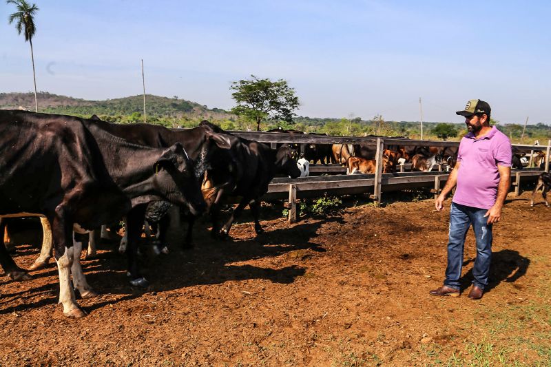 <div class='credito_fotos'>Foto: Bruno Cecim / Ag.Pará | <a href='/midias/2020/originais/6873_8e29ff18-8ca4-deb2-b26d-cb72bec33e4b.jpg' download><i class='fa-solid fa-download'></i> Download</a></div>