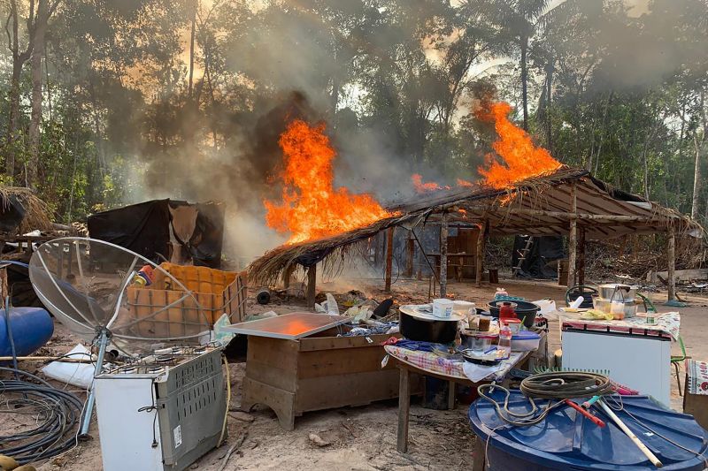 Destruição de acampamentos ilegais na floresta: combate a crimes ambientais
